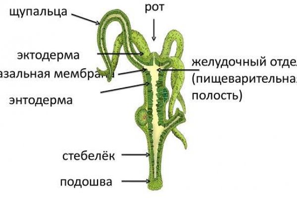 Что продает маркетплейс кракен